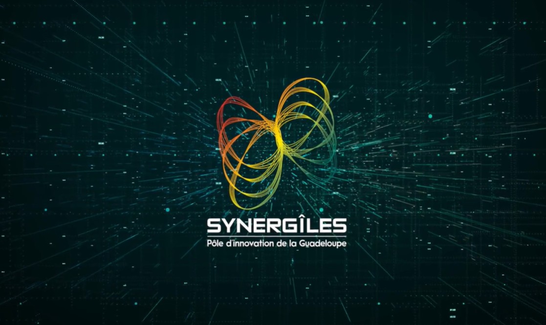 Synergîles : Présentation chiffres clés 2025